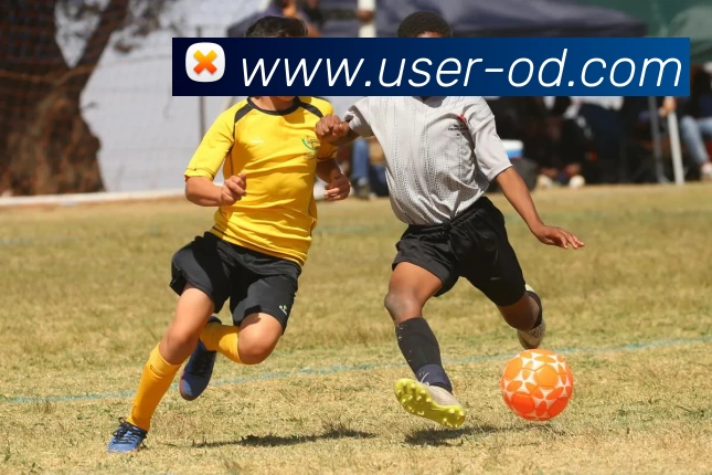 OD体育服务体系